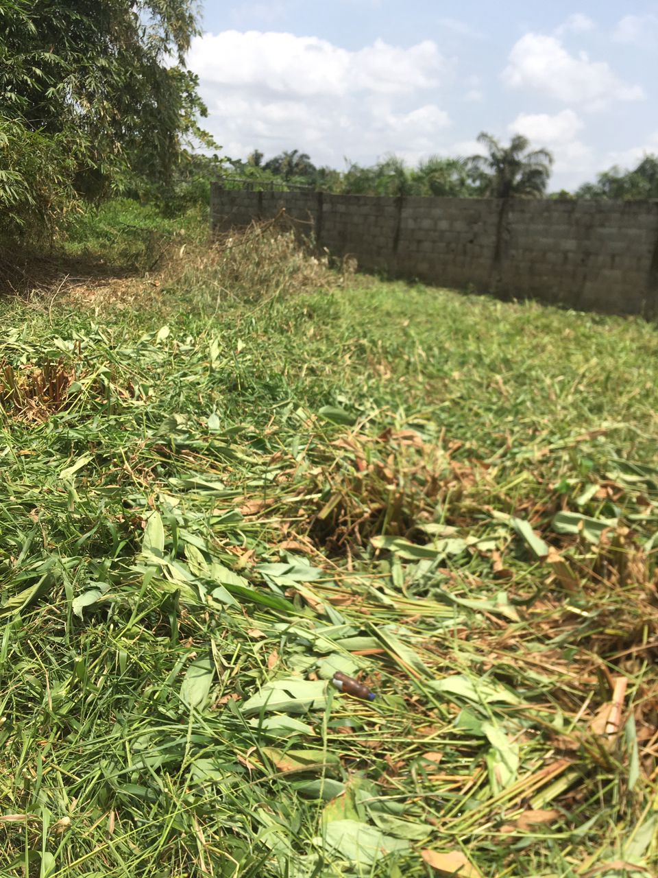 Full plot of land for sale